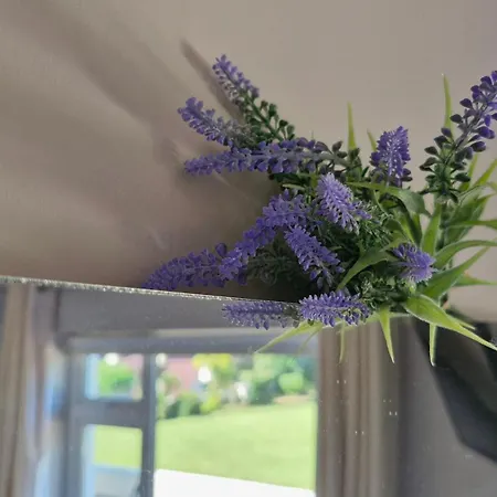 Apartament The Yoke Peaceful Private Garden Views Ballybrittas