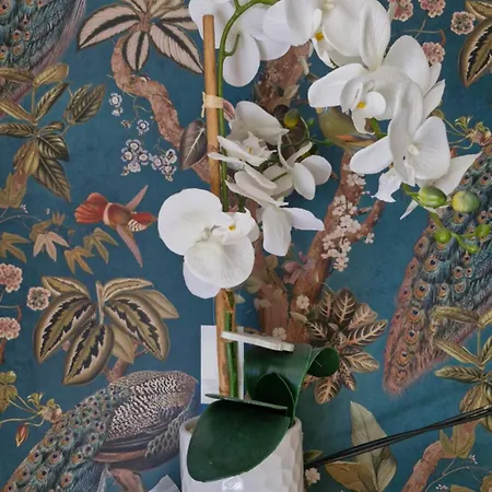 The Yoke Peaceful Private Garden Views Apartament Ballybrittas