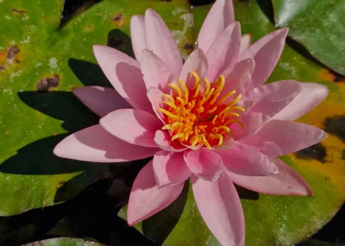 Apartamento The Yoke Peaceful Private Garden Views Ballybrittas