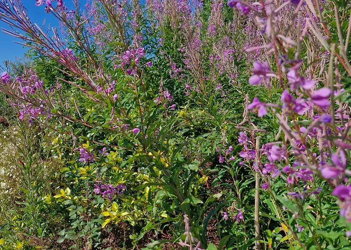 The Yoke Peaceful Private Garden Views Apartamento *