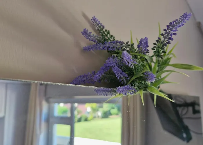 Apartamento The Yoke Peaceful Private Garden Views Ballybrittas